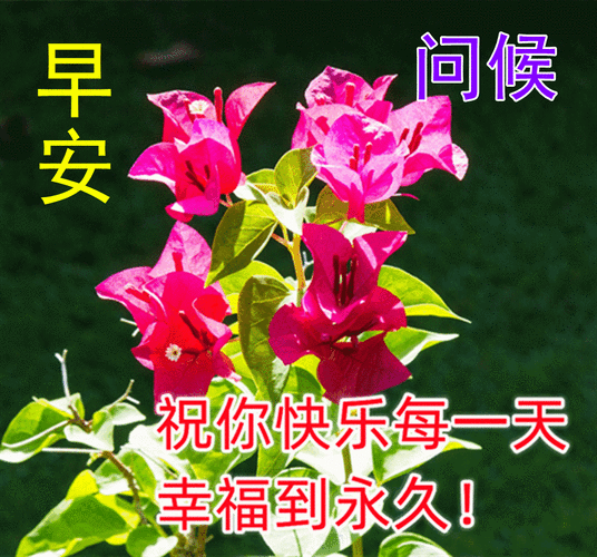 2,与其担心别人做得比你好,不如关注自己怎样才能一天天做得更好.