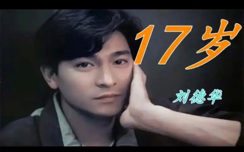 《17岁》cover刘德华【手风琴】