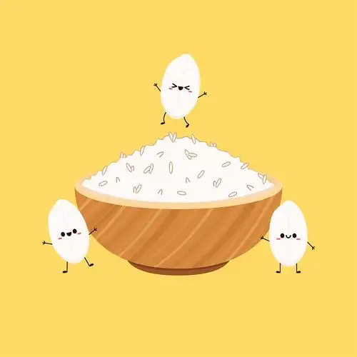 稻饭 米饭图片_稻 饭 米饭高清图片素材库