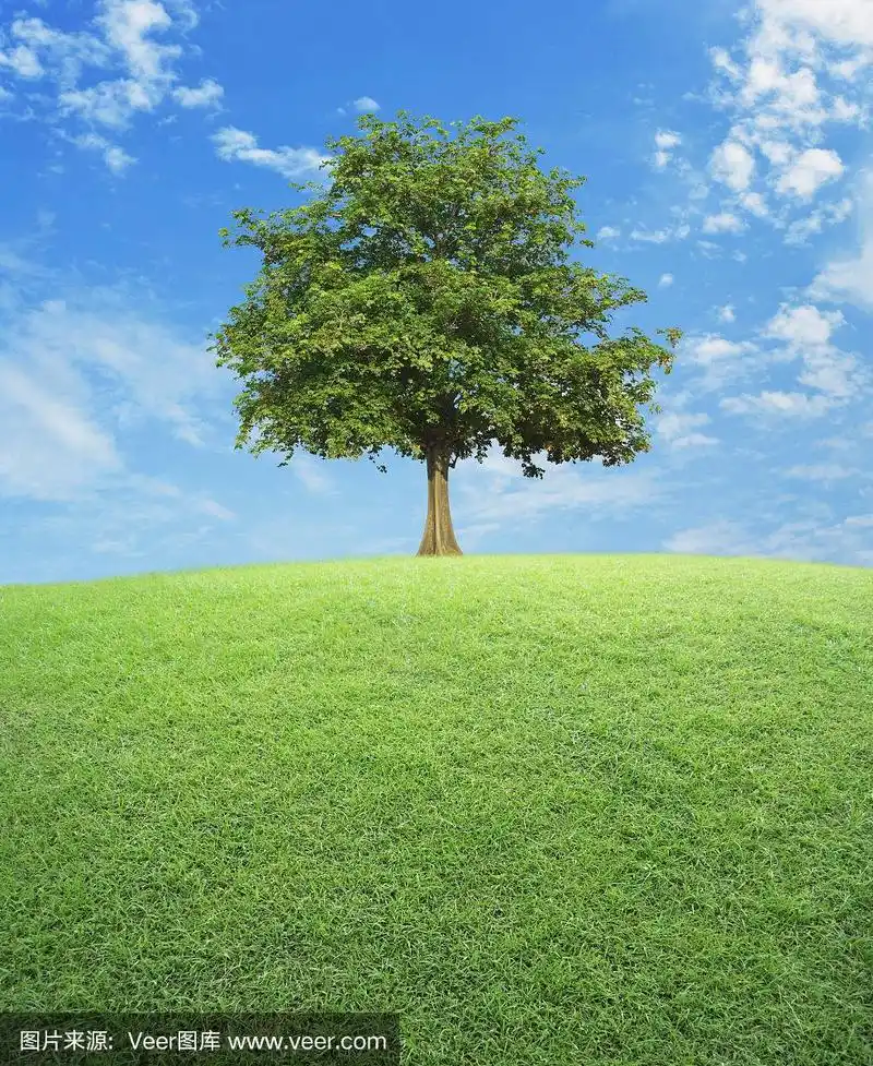 蓝天上有一棵绿油油的大树