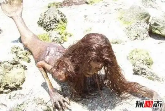 美人鱼为什么要吃人美人鱼真身吓人图片曝光