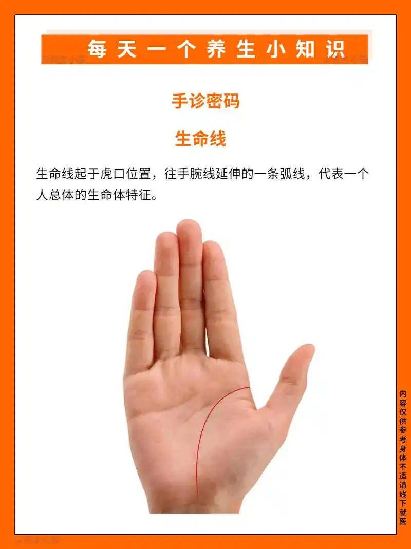 手诊密码.生命线 生命线起于虎口位置,往手腕线延伸的一条弧线 - 抖音