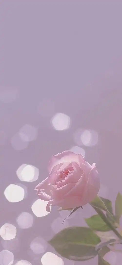 朋友圈背景图##朋友圈背景图##朋友圈文案##朋友