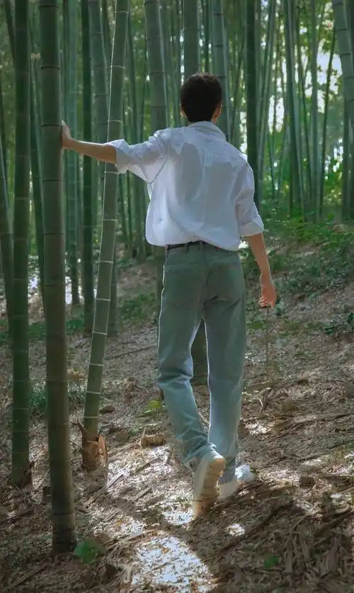 肖战背影合集:你追世界,我们追随你的背影_守护_故事_可靠的