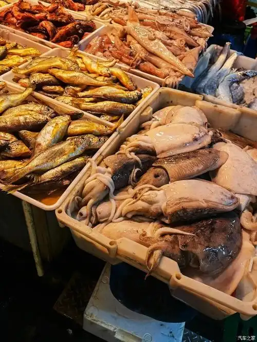 今天去逛了一下菜场,发现海鲜特别的多,所以就随手拍了几样了,看到
