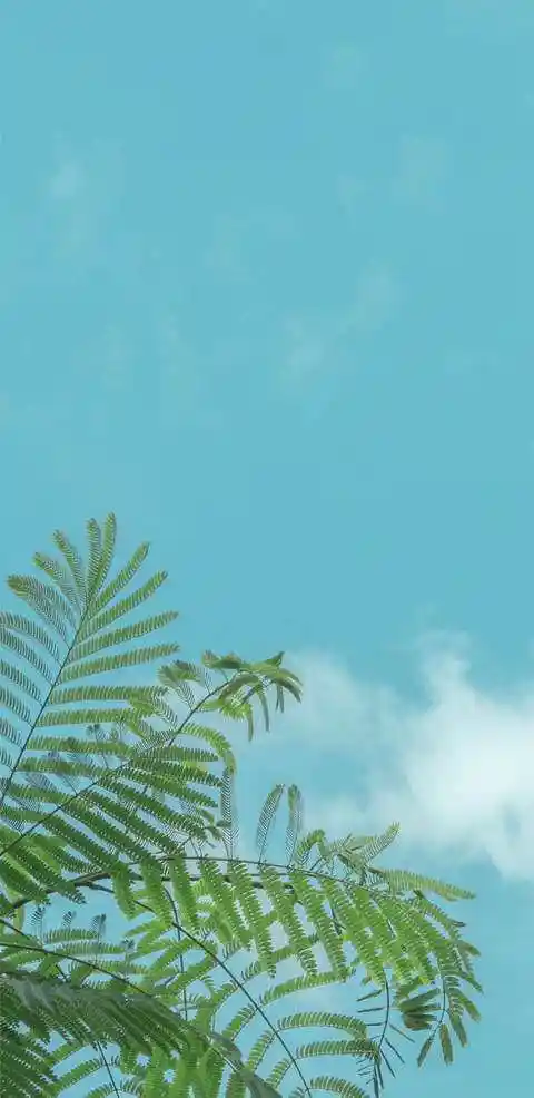 1080p蓝光竖屏壁纸图片