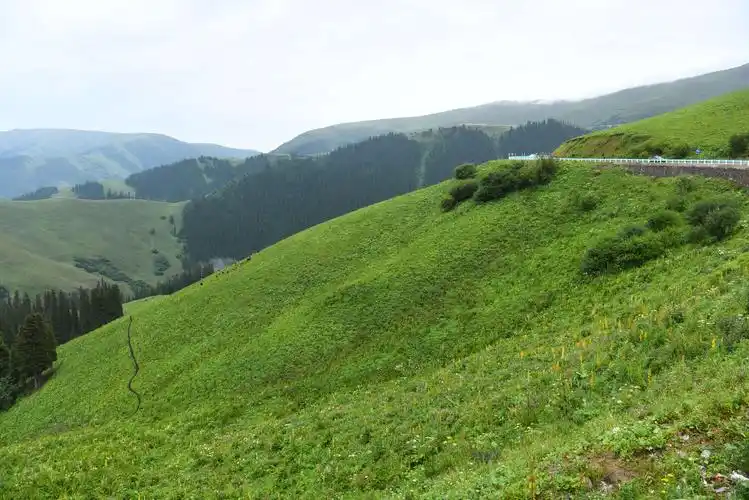 大美新疆:伊犁河谷草原