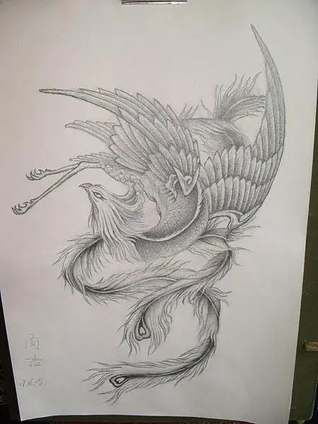 半背凤凰纹身图案