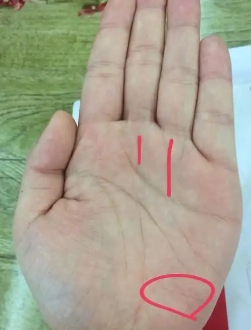 天生富贵命的手相,上半生辛苦,越老越有福气