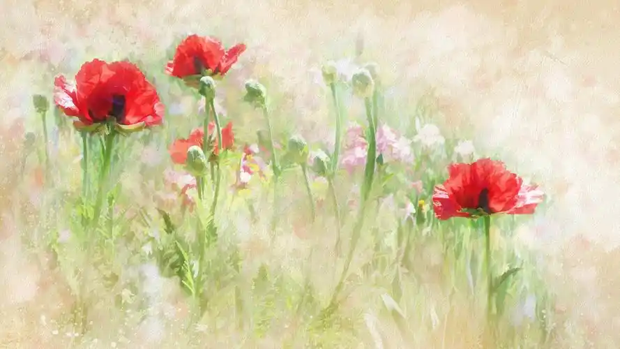 创意花卉水彩画高清电脑桌面壁纸图片