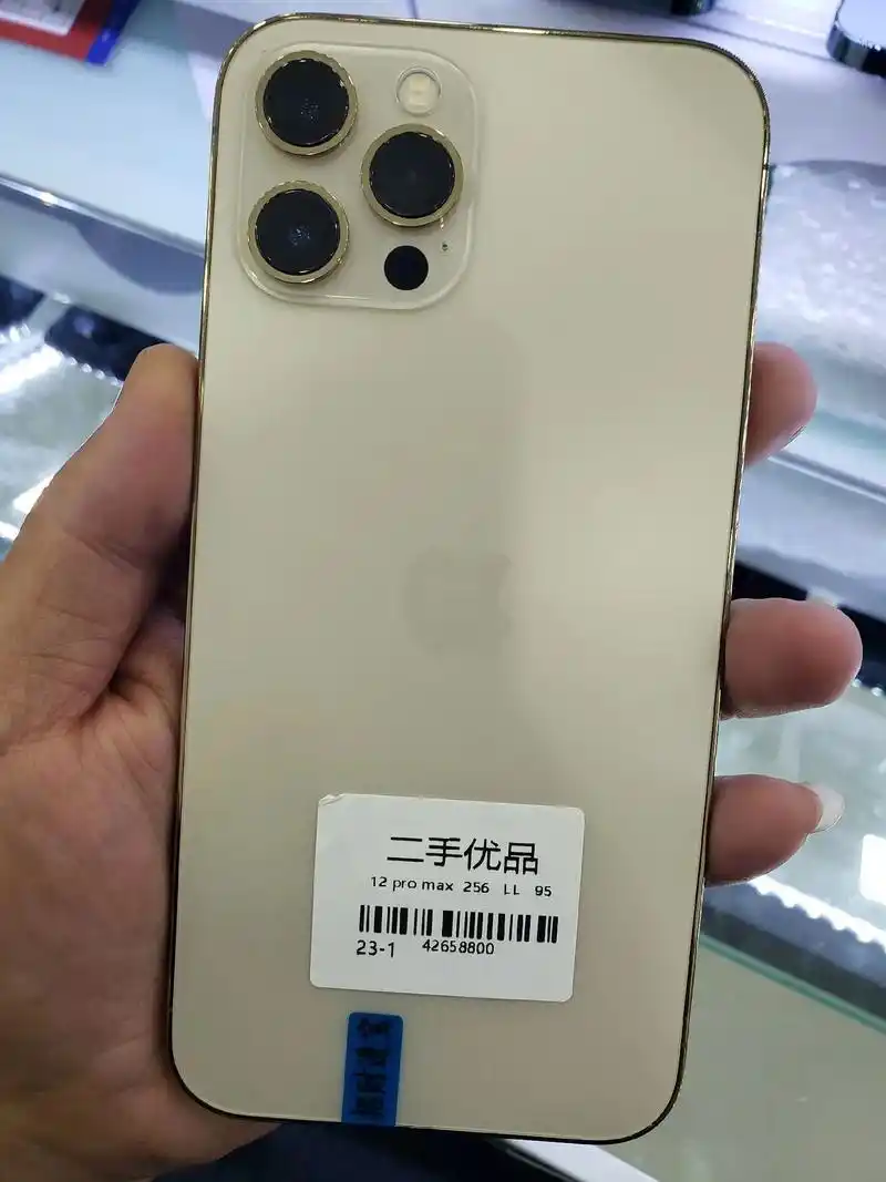 苹果12promax电池95