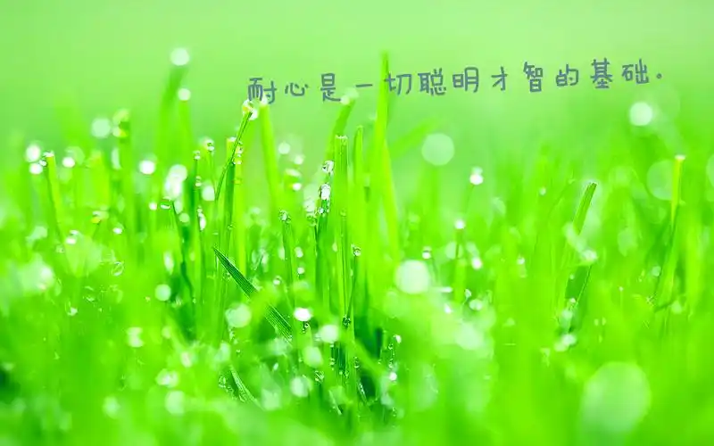 可爱小清新高清桌面壁纸