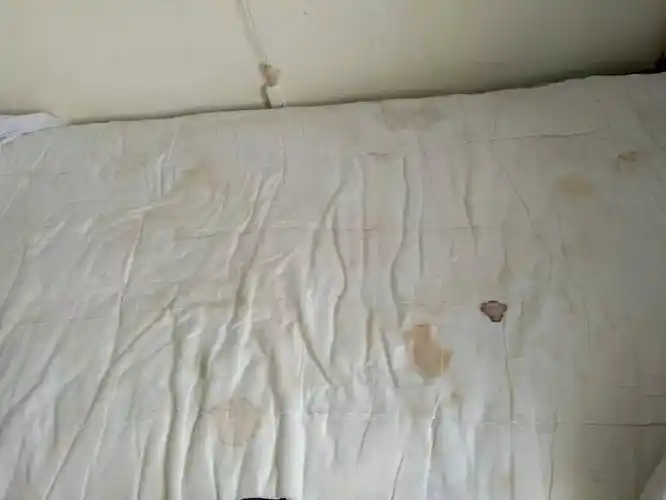 一些医院被褥枕头的内胆,(医院清洗消毒的只是被单,床单)多为污迹斑斑