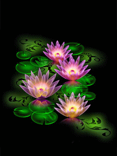 别人都说,迎春花是春姑娘的信使;但我认为,迎春花的开放,并不能代表