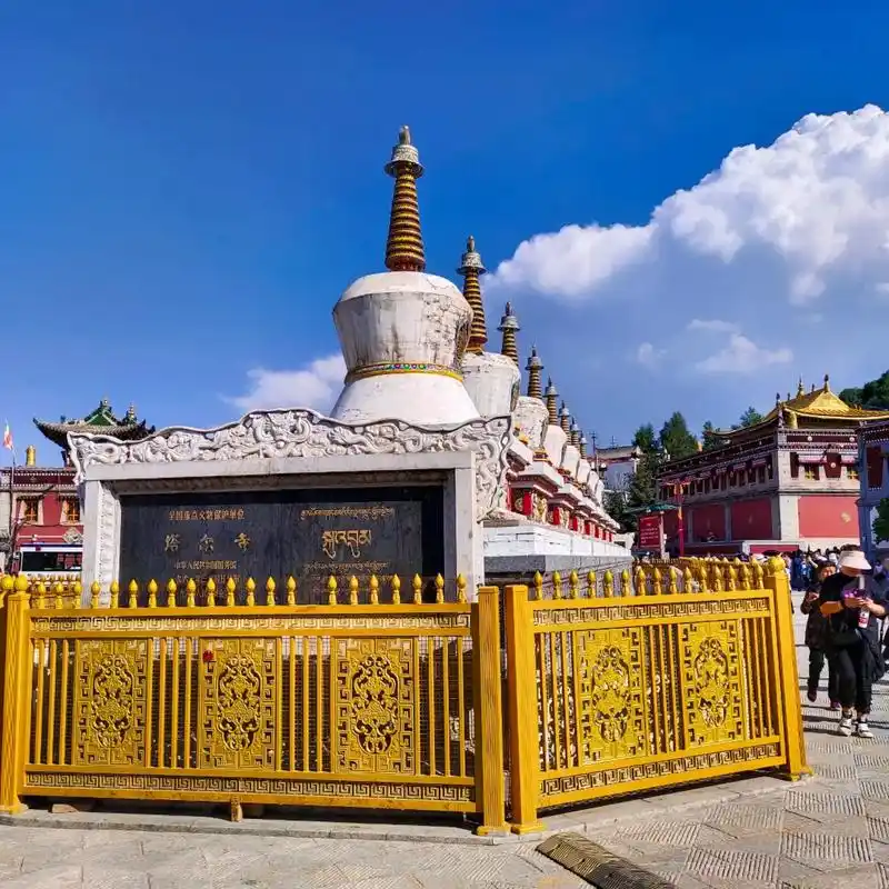 93塔尔寺93 三绝:堆秀,壁画,酥油花 感受最大的 - 抖音