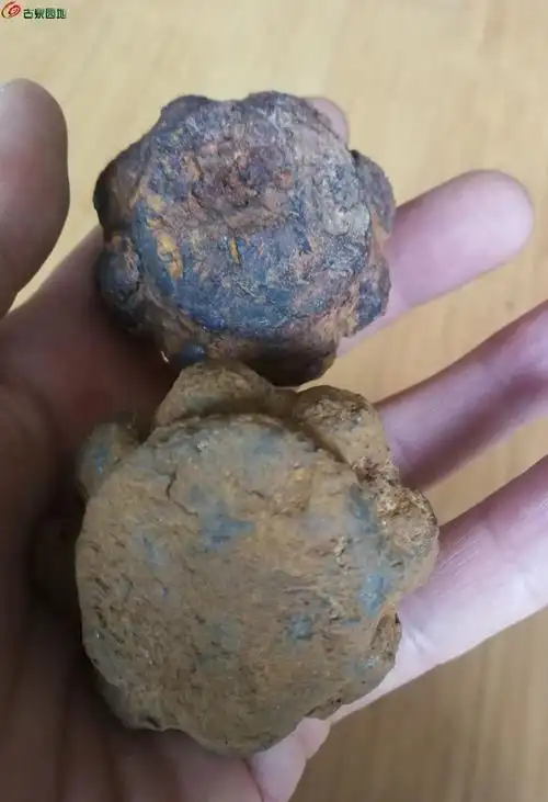 民俗藏品----2个战汉时期瓜棱型铁权