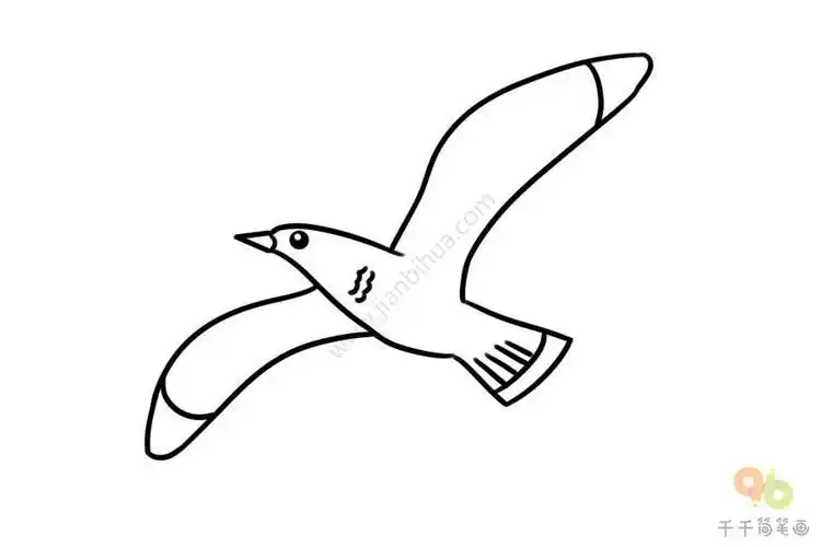 海鸥简笔画图片大全海鸥简笔画
