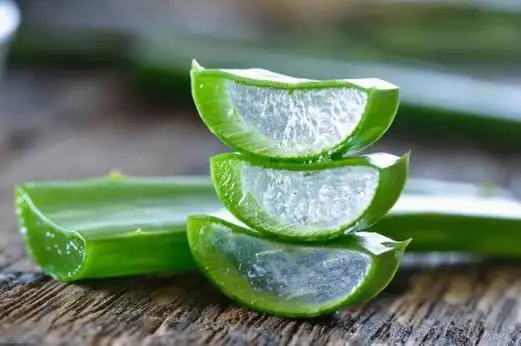 1,木立芦荟21木立芦荟区别又被分辨称为日本芦荟,树三种食用芦荟,可
