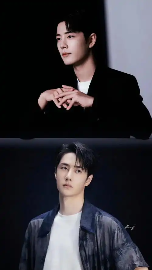 原创壁纸 "并肩于雪山之巅 逐光等待安年"#王一博 #肖战 - 抖音