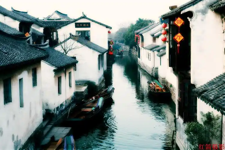 金凤凰文学社现代诗:月亮看你 尽是惆怅