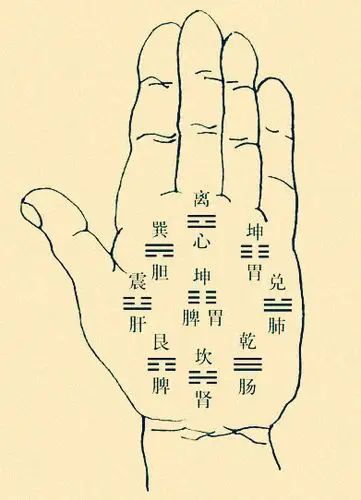 手分八卦十二宫,万事都在一掌中,男子看手看八卦,女人看手看九宫