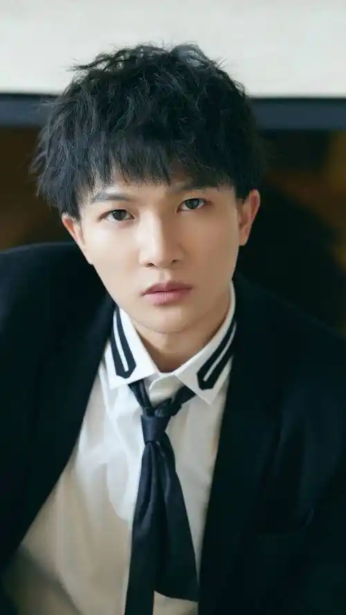 歌手周深,中国内地流行乐男歌手