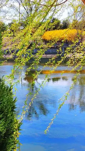 又是一年春暖花开时🌺 - 美篇