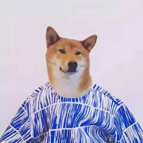 柴犬单身狗头像_柴犬贱表情