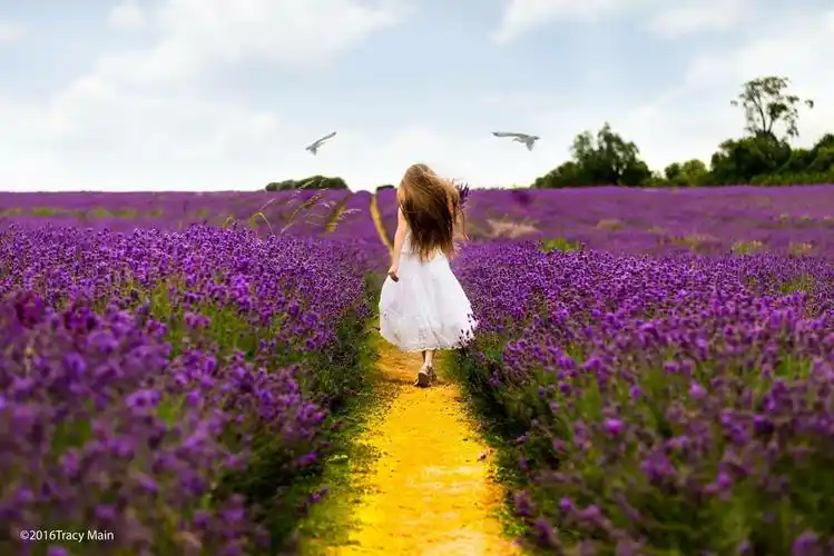 梦幻儿童摄影外景作品