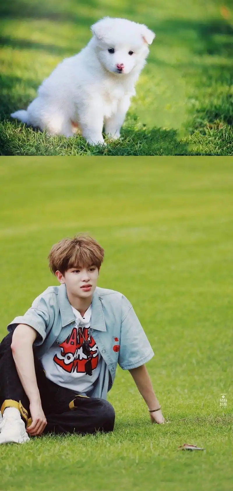 justin分享210108小动物能有什么坏心眼呢绝世小可爱勾勾的各种小动物