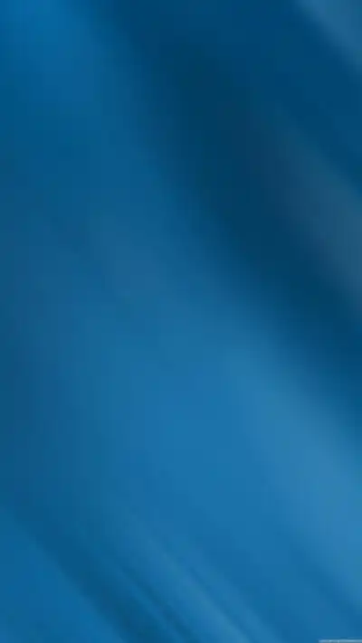 手机壁纸蓝色猫