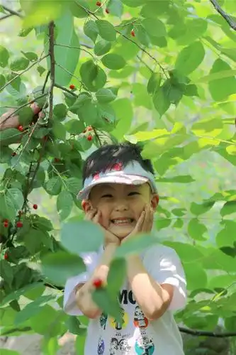 灿烂的笑脸-"孔子故乡 中国山东"网络摄影大赛官方网站