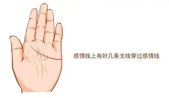 感情线上有好几条支线穿过感情线,这样的人在爱情生活中相当的不如意