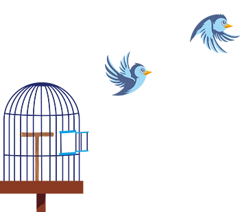 鸟笼里飞出的小鸟