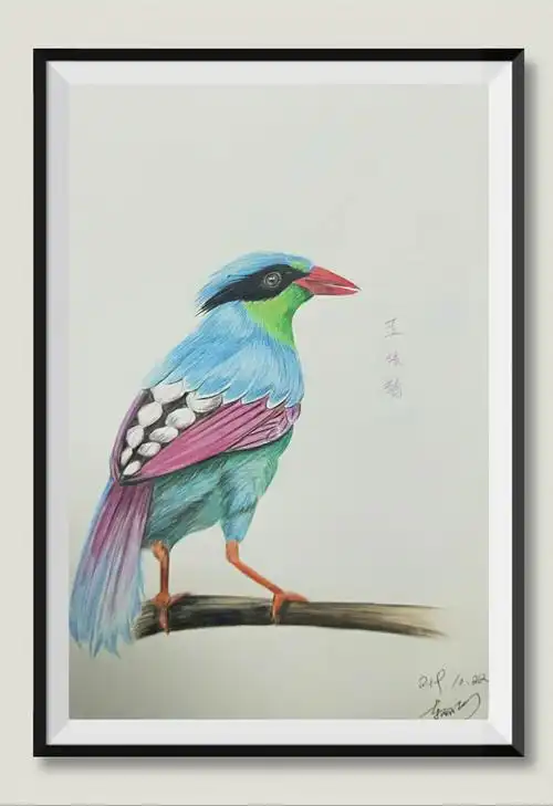 彩铅,简约装饰画作品集