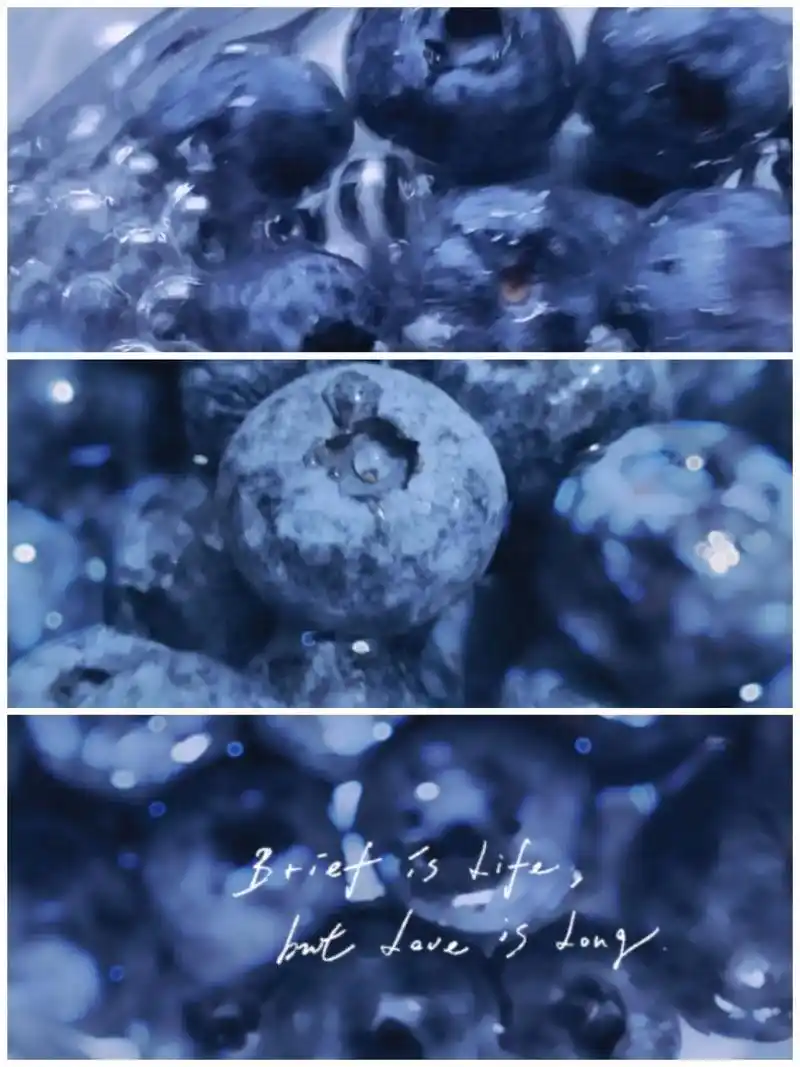 静物摄影手机调色蓝莓低饱和蓝紫色调