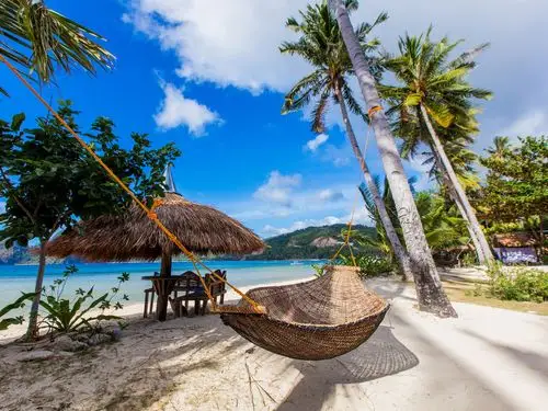 热带,棕榈树,海滩,海岸,吊床,蓝天 壁纸