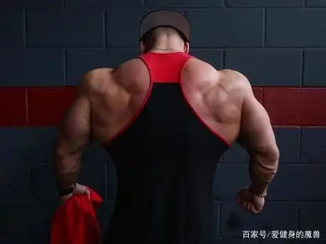打破原有的健身舒适区,你的背部怎样练得更像高手?