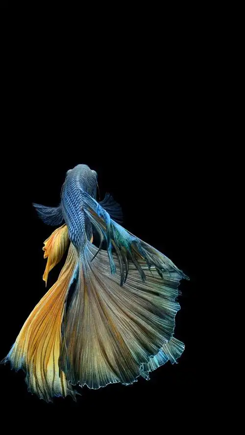 658_1170竖版 竖屏