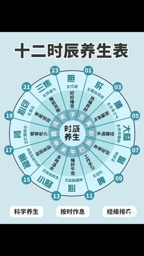 五脏六腑对应十二时辰养生