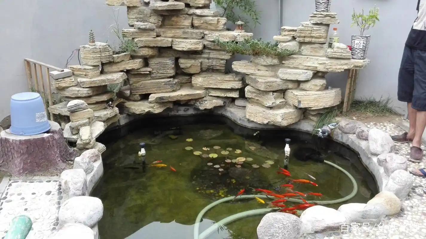 假山鱼池改造十大案例,太美了我也要改!