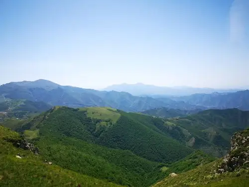 高山草甸随手拍