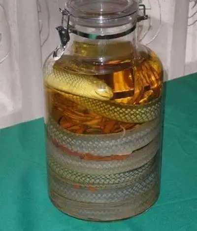 用蛇泡制药酒!亚洲各地蛇酒大比拼(组图)