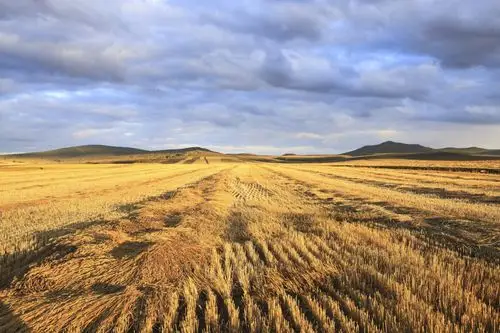 简介:一组精美的金色的麦田图片,金色,麦田,图片,标签:自然风景麦田