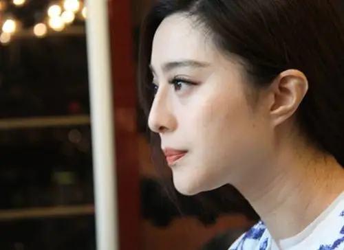 【图】范冰冰侧脸图惊艳众人 画刊中美女与范爷长相相似