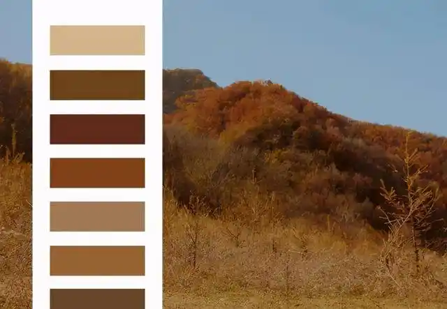 除了白色,什么颜色更适合秋冬?试试经典的"大地色",高级时尚_饱和度