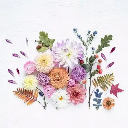 2020触动心灵的唯美文艺说说读一遍就念念不忘