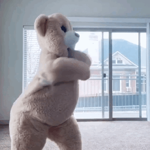 井井原创 玩偶熊跳舞表情包 泰迪熊人偶尬舞gif动图 蹦迪 搞笑逗比