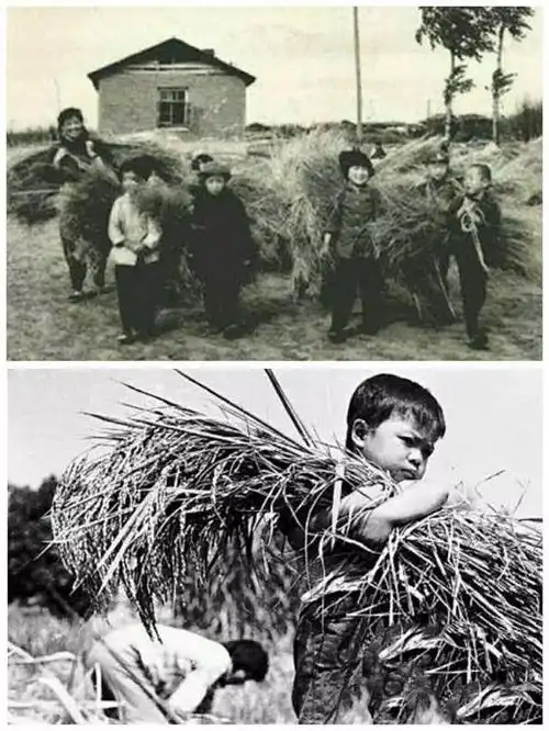 六七十年代农村的集体记忆,这些老照片你不一定见过