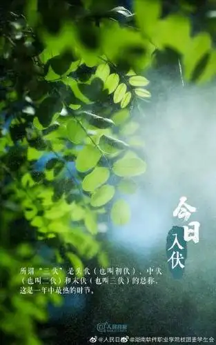 他还没有填写个人简介   关注 g 私信 = 超过 8000 万人正在使用 他